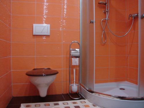 拉贝河畔乌斯季Šenk u Švejka的一间带卫生间和淋浴的浴室