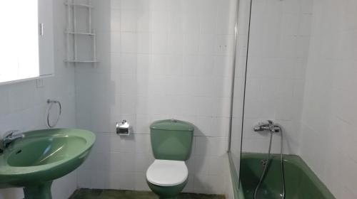 塞奥-德乌赫尔Entre els pirineus的浴室配有绿色卫生间和水槽。