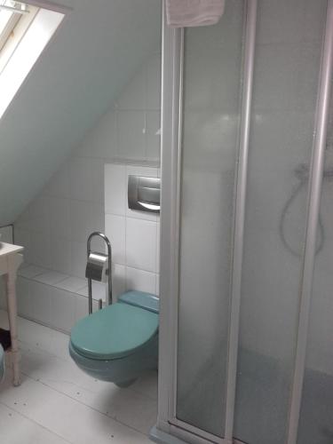 Noord-SleenDe Oude Smederij的浴室配有蓝色卫生间和淋浴。
