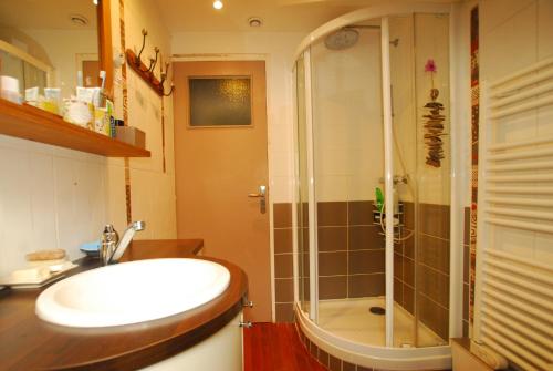 圣马洛Saint-Malo Apartment的一间带水槽和淋浴的浴室