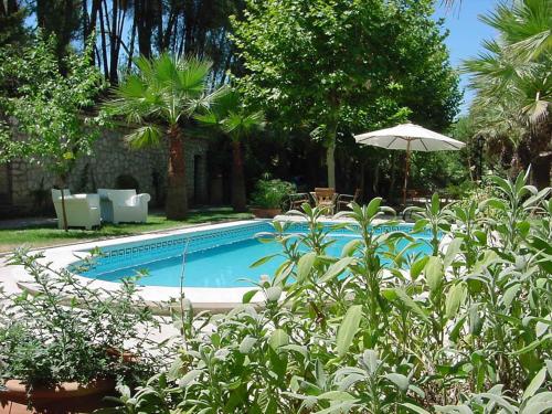 波凯兰特勒希塔西奥酒店的一个带遮阳伞和一些植物的游泳池