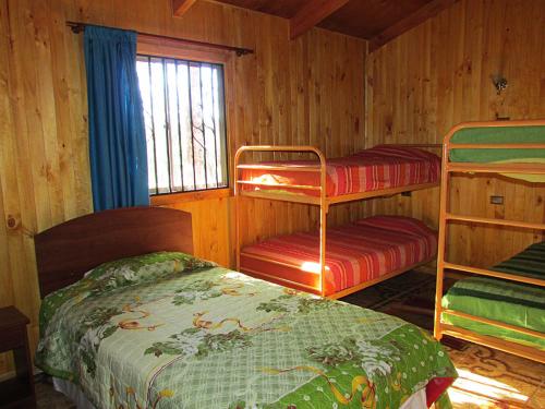 柯纳里佩Cabañas Entremontañas Coñaripe的一间卧室设有两张双层床和一扇窗户。