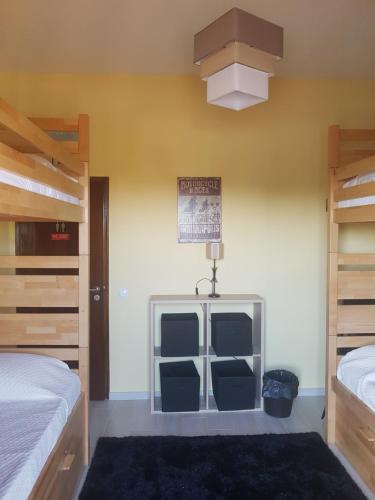 阿尔曼萨Almancil Hostel的一间卧室配有两张双层床,铺有蓝色地毯。