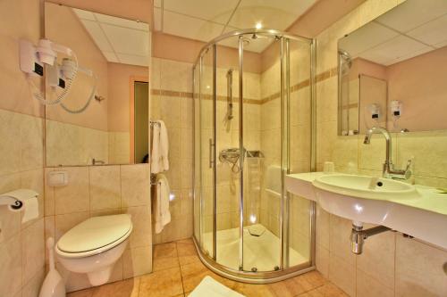 绍维尼Logis Hôtel Le Lion d'Or的带淋浴、卫生间和盥洗盆的浴室