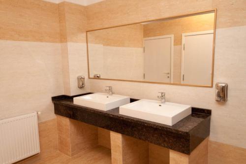 阿拉德华奴德拉斯克鲁斯酒店的一间带两个盥洗盆和大镜子的浴室