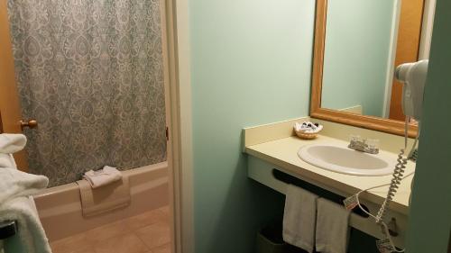 基灵顿瀑布洛奇酒店的一间带水槽和镜子的浴室