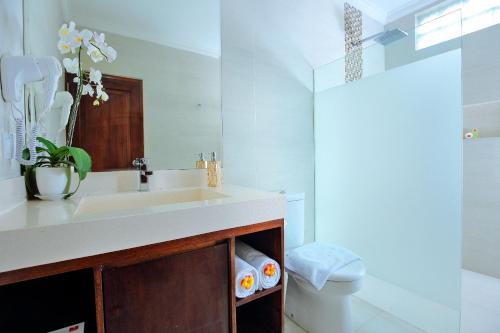 勒吉安德维斯瑞酒店的一间带水槽和镜子的浴室
