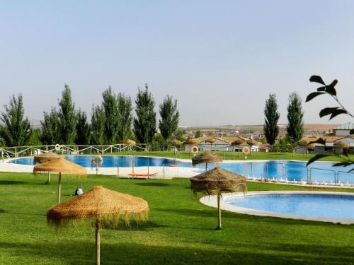 Humilladero拉塞内西拉营地酒店的一个带游泳池和稻草遮阳伞的度假村