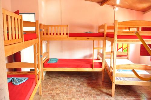 Viela Hostel客房内的一张或多张双层床