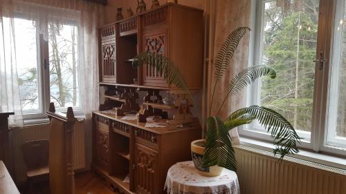 布莱德Sovica的桌子上放着盆栽的植物的房间