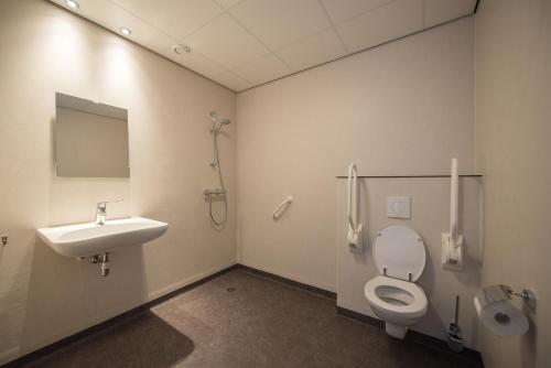 比伦De Oranjerie的一间带卫生间和水槽的浴室