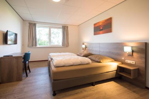 比伦De Oranjerie的一间卧室配有一张床、一张书桌和一个窗户。