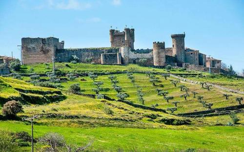 LagarteraEl Huésped del Sevillano AR的一座城堡,位于郁郁葱葱的绿色田野上