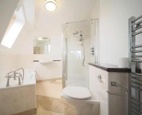 巴尔的摩沃特福兰特酒店的白色的浴室设有卫生间和淋浴。