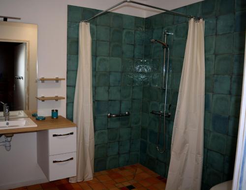 ÉtablesTagar'étape的带淋浴和盥洗盆的浴室