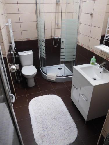 奥尔绍瓦Casa Verde的一间带卫生间、水槽和镜子的浴室
