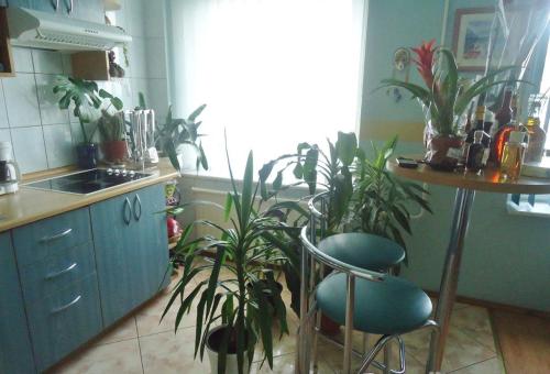 阿利图斯Puikus apartamentai的厨房里种植了许多植物,配有桌椅