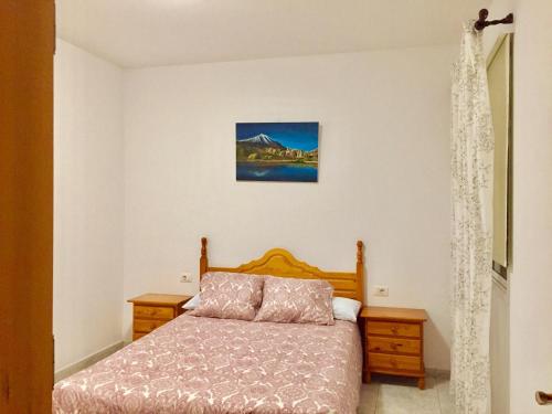 洛斯·亚诺斯·德·阿里丹Apartamentos los Llanos de Aridane的卧室配有一张床
