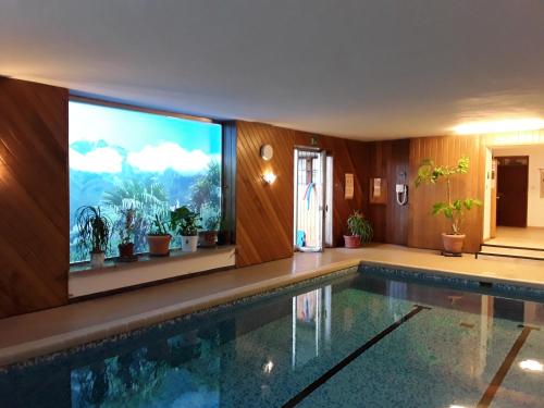 蒂鲁罗Hotel Haselried的一座带大屏幕电视的房子内的游泳池