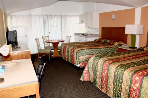北港Warm Mineral Springs Motel的酒店客房设有两张床和一张桌子。