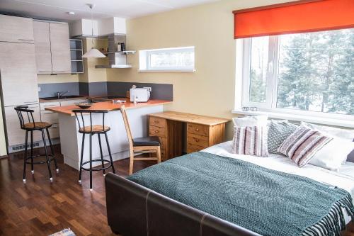 塔尔图Modern Apartment的一间卧室配有一张床和一个小厨房