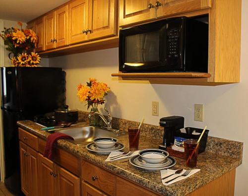 韦尔斯伯勒峡谷汽车旅馆的厨房柜台设有水槽和微波炉