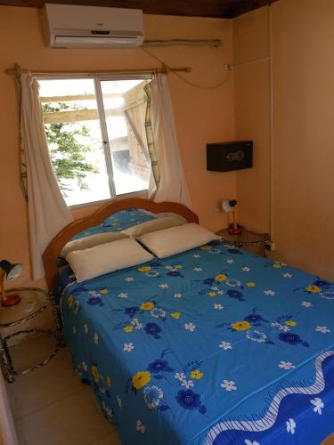 阿加斯杜尔斯Los Lachos的一间卧室配有一张带蓝色棉被的床和窗户。