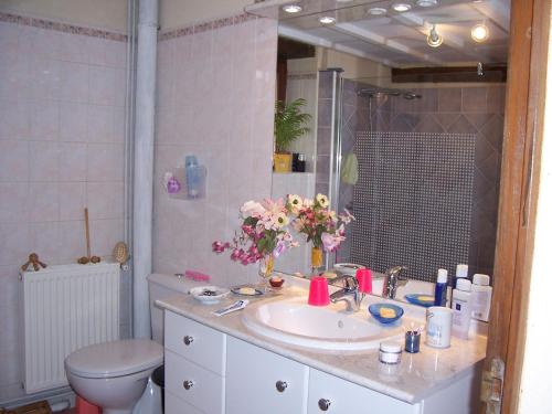贝莱姆Maison d'Hôtes Les Après的一间带水槽、卫生间和镜子的浴室