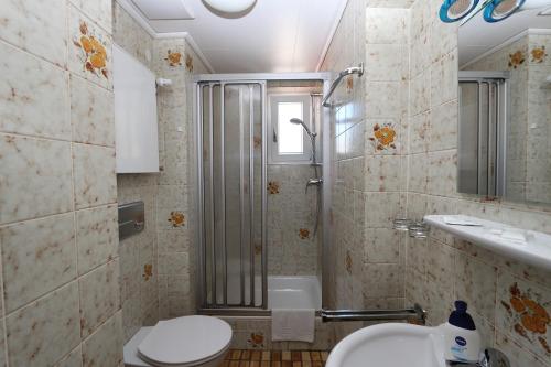 摩泽尔河畔的泽尔罗梅尔巴德旅馆的带淋浴、卫生间和盥洗盆的浴室