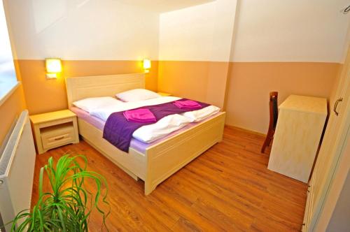 迪马诺卡多林纳Apartment Bartek Ski Rental的一间小卧室,配有床和植物