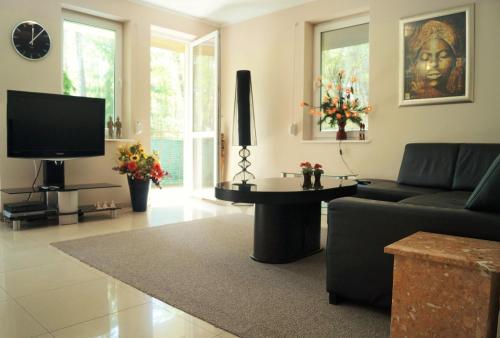 米兹多洛杰Apartament Maria的带沙发和电视的客厅