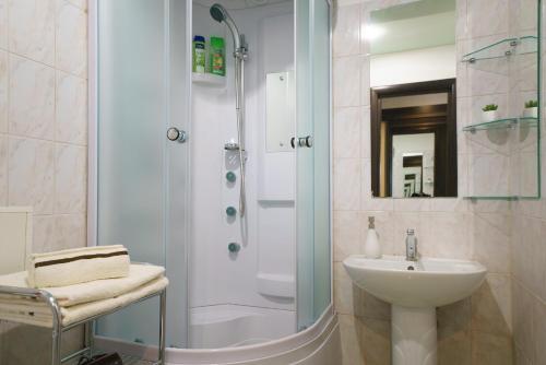 莫吉廖夫PaulMarie Apartments on Boldina的带淋浴、盥洗盆和卫生间的浴室