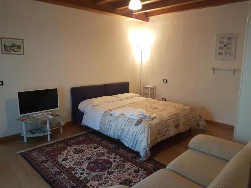 曼托瓦Corte Pomponazza的一间卧室配有一张床和一台平面电视