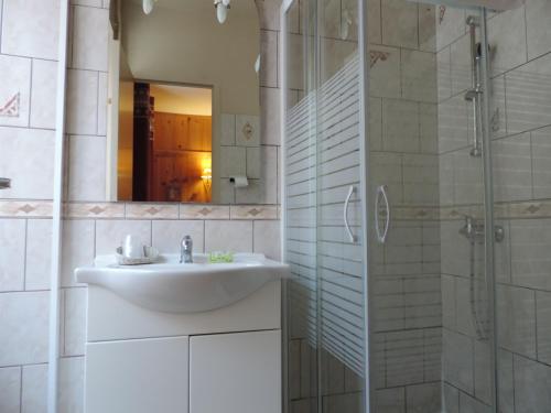 科特雷Hôtel Le Pas de L'Ours的浴室配有盥洗盆和带镜子的淋浴