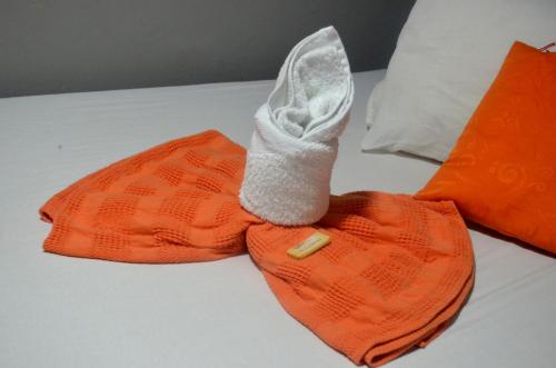 巴兰基亚Hotel San Marcos Barranquilla的睡在床上的一套袜子