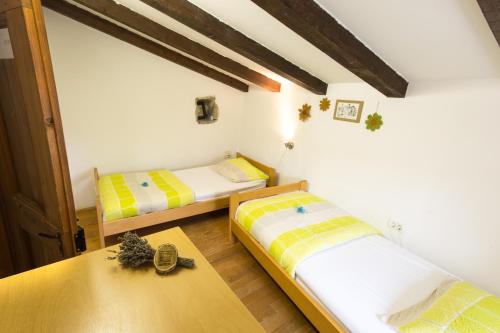 Pliskovica普里斯克维卡青年旅舍的客房设有两张床和一张木桌。