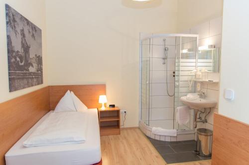 维也纳雷勒豪斯公寓的一间卧室配有一张床、淋浴和盥洗盆