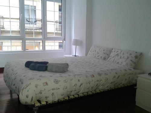 圣塞瓦斯蒂安Marina La Concha的一间卧室配有一张带两个枕头的床