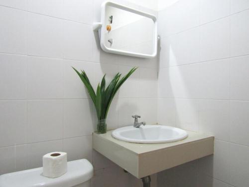 奥南海滩K-Bunk Hostel的一间带水槽、卫生间和镜子的浴室