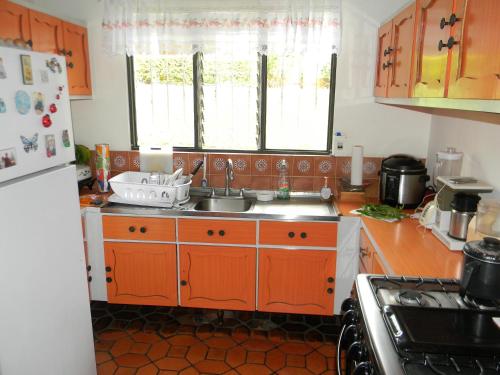 Santo DomingoHabitacion Santo Domingo, Heredia的厨房配有橙色橱柜和水槽