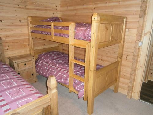 MeadowtownLong Mountain Centre Log Cabins的小木屋内一间卧室配有两张双层床