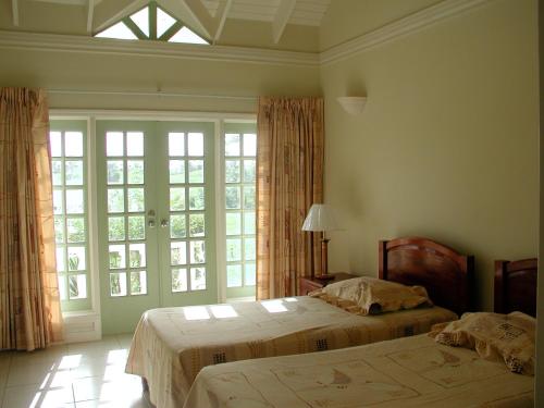 LowlandsVilla Sans-Souci的一间卧室设有两张床和大窗户