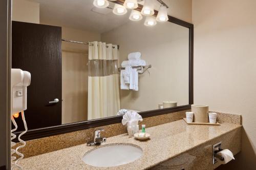 达拉斯达拉斯爱田贝蒙特旅馆套房酒店的一间带水槽和大镜子的浴室