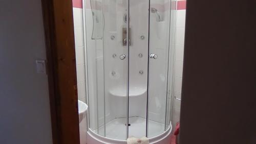 ElafotoposElafotopos Hotel的浴室内带玻璃淋浴间