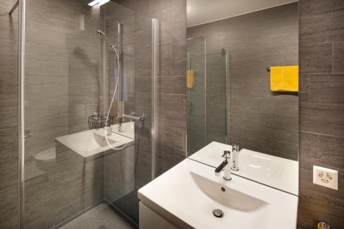 Oberentfelden阿劳韦斯特瑞士优质公寓式酒店的一间带水槽和玻璃淋浴的浴室