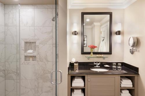查尔斯顿法国街区酒店的一间带水槽和淋浴的浴室