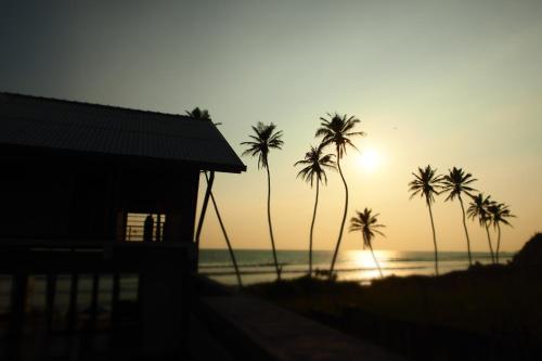 马特勒赛凯普酒店的日落时分在海滩上种植的棕榈树