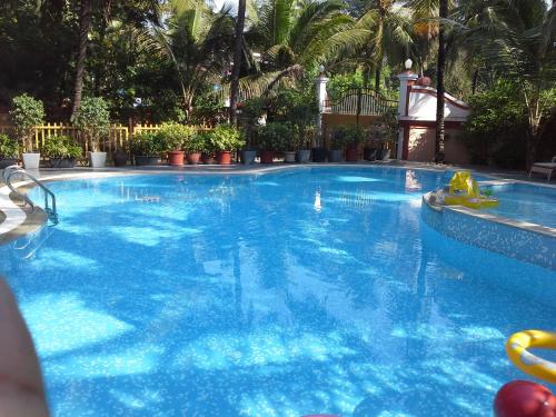 科尔瓦优雅色调公寓的度假村内一个蓝色的大泳池