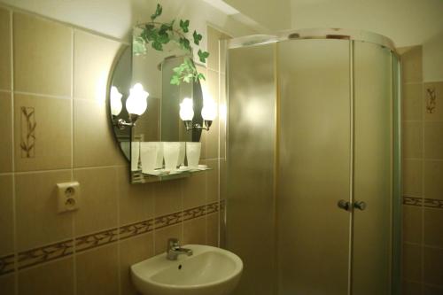 Moldava nad BodvouMotel Orgován的浴室配有盥洗盆和带镜子的淋浴