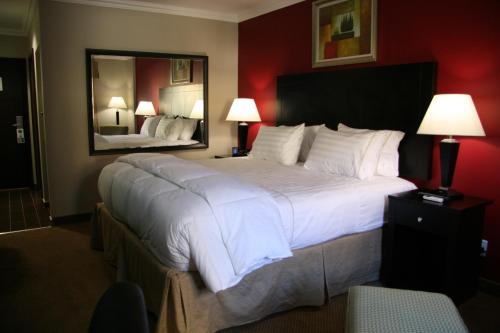 巴利托巴利托汉普夏酒店的一张位于酒店客房的大床,配有镜子